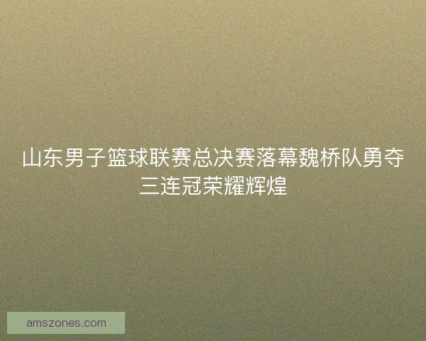 山东男子篮球联赛总决赛落幕魏桥队勇夺三连冠荣耀辉煌